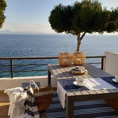 Apartament Blau Cel Alcudia  Zewnętrze zdjęcie